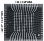 Neurochip_scheme.jpg