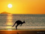 Kangaroo_00021.jpg