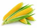 corn2.jpg