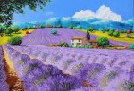 lavenders-under-sunshine-jean-marc-janiaczyk.jpg