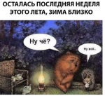 последняя неделя.png