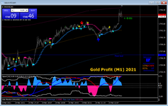 Gold Profit (M1) 2021.png