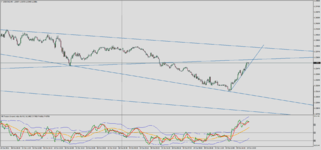 USDCADM5.png