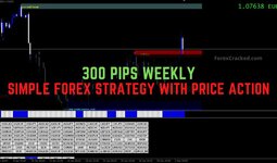 Free-Download-300-Pips-Weekly-A-Simple-Forex-Strategy-with-Price-Action.jpg