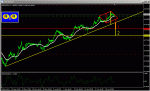 NZD1H.GIF