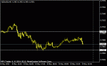 nzd.gif