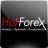Hotforex2013