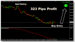 gfk-forex-1.png