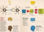 memristor-n-neurons.jpg