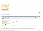 Imagen 010.png