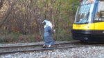 guy-dressed-as-gandalf-stops-a-train.jpg