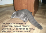 застрял.png