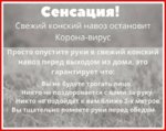 Сенсация!.jpeg