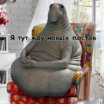 ждун.png