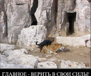 2021-05-01 at 18-00-51.png