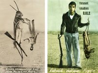 2 spoofs of giant grasshopper of Wisconsin photo.jpg