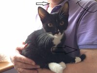 photo_2017-03-30_21-02-06.jpg photo_2017-03-30_21-02-06.jpg