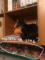 photo_2017-04-21_22-56-48.jpg photo_2017-04-21_22-56-48.jpg