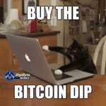 bitcoin-bitcoin-dip.gif