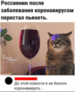 in_article_webp_38474a7edb.png