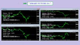 TERMINAL SMART FUTURE EA ( PHOTO 13 )..gif