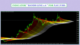 INDICATOR BANDS LINE 1.6 ( PHOTO 4 )..gif