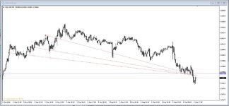 nzdchf.jpg