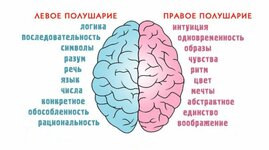 rabota mozga.jpg rabota mozga.jpg