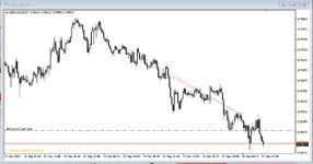 nzdcad.jpg