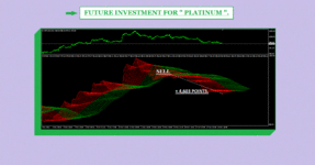 FUTURE INVESTMENT PLATINUM M15 ( PHOTO 1 )..gif