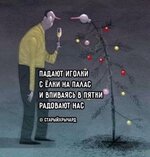 Падают иголки с ёлки на палас.jpg