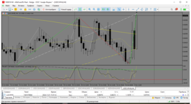 MetaTrader 5 Alfa-Forex.png