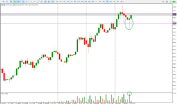 Снимок экрана 2025-02-12 201220.png