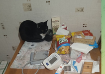 Скриншот 15.03.25_21.03.51.png