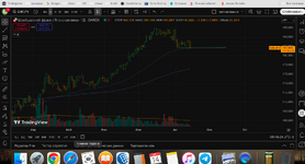 Снимок экрана 2025-08-14 в 9.16.25.png