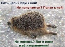 JwVZfs0Minsu0LyXA7Z.jpg