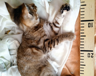 Скриншот 30.08.25_19.45.32.png Скриншот 30.08.25_19.45.32.png