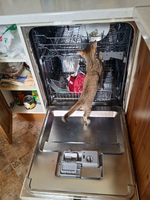 1756573281383.png 1756573281383.png