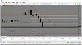 MetaTrader 5 Alfa-Forex.png