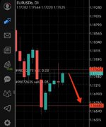 IMG_20251002_125600.jpg IMG_20251002_125600.jpg