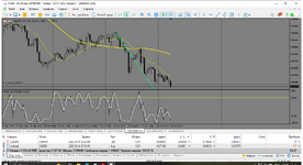 BCS-Forex киви.png