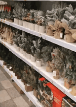 н.gif