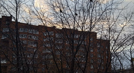 Скриншот 29.10.25_16.05.30.png