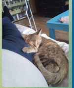 Скриншот 29.10.25_17.05.24.png