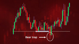 1762682707924.jpeg 1762682707924.jpeg