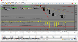 MetaTrader 5 Alfa-Forex.png
