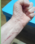 Скриншот 23.11.25_20.57.11.png