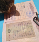 Скриншот 26.11.25_18.41.44.png