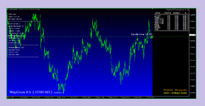 WayGrow EA Three pairs version 1.1 ( Photo 1 )..png