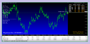 WayGrow EA Three pairs version 1.1 ( Photo 3 )..png
